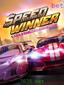 Explorando o Mundo Dinâmico de SpeedWinner: Entenda as Regras e Descubra as Emoções